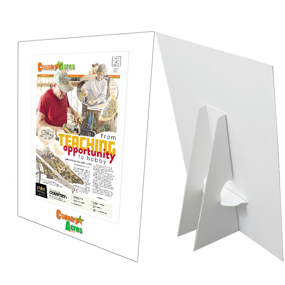 Star Publications Article Counter Cards