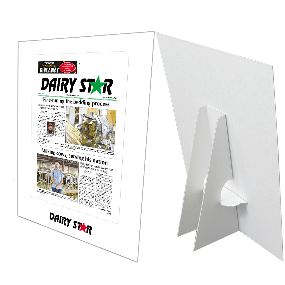 Star Publications Article Counter Cards