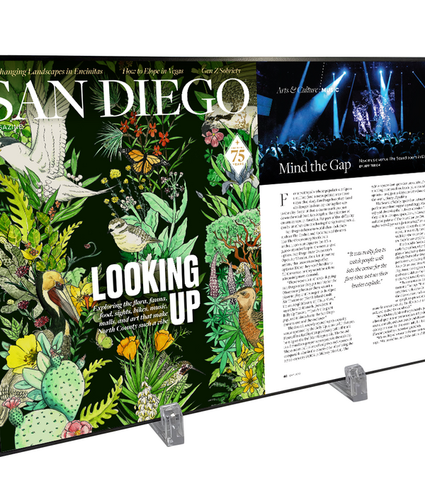 San Diego Magazine "Best of North County" Article Spread Plaque