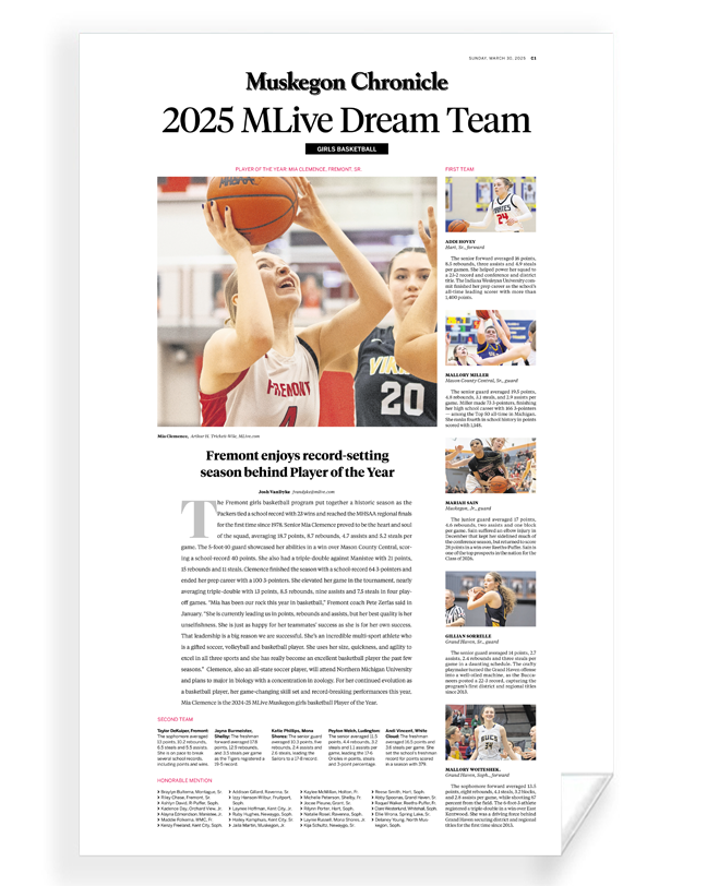 Dream Team - Reprint/Poster