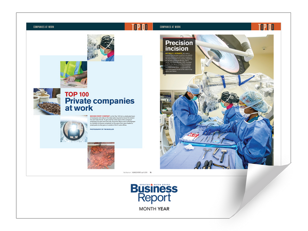 Business Report Article & Cover Digital PDFs