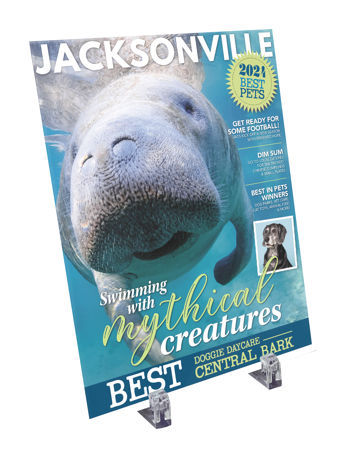 Jacksonville Magazine - Best in Pets - Crystal Glass