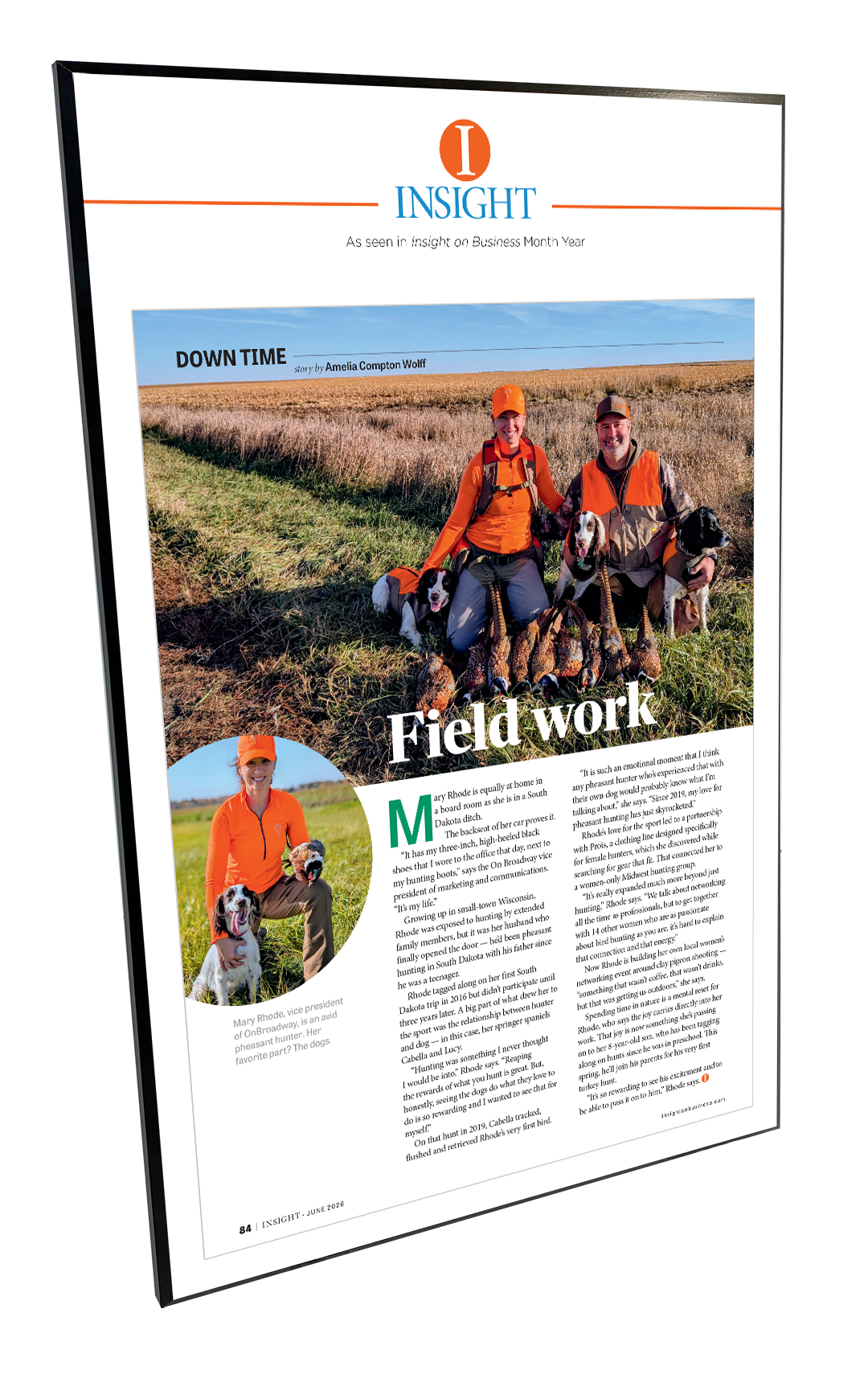 INSIGHT - Editorial Features - Plaques