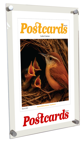 Postcards Magazine - Article & Cover Acrylic Plaques