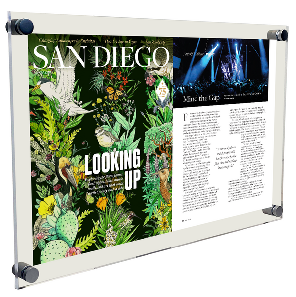 San Diego Magazine "Best of North County" Article Spread Plaque