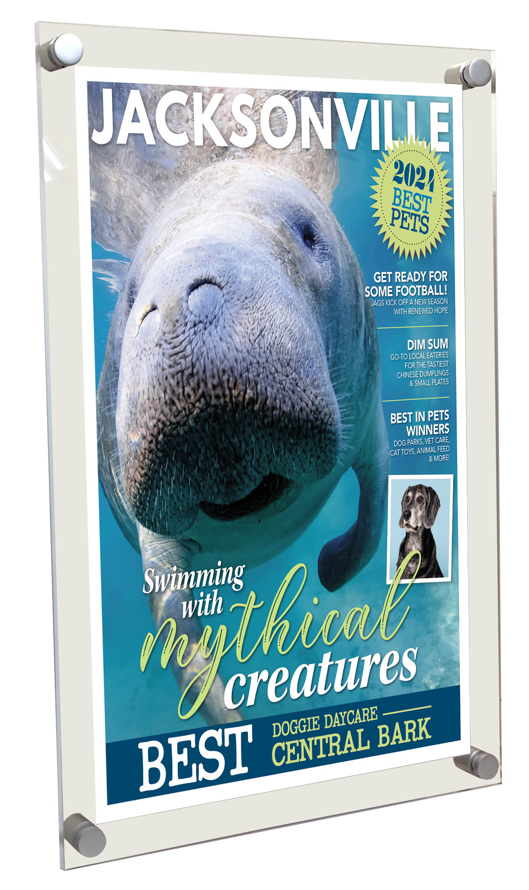 Jacksonville Magazine - Best in Pets - Acrylic Plaques