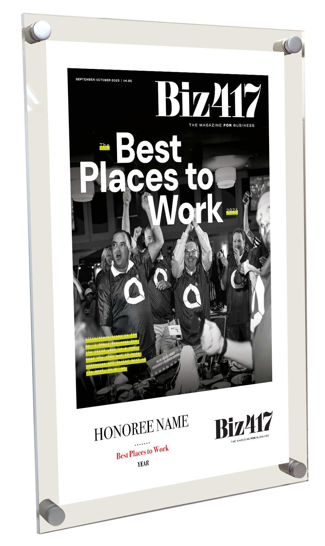 Biz 417 Article & Cover Acrylic Plaques