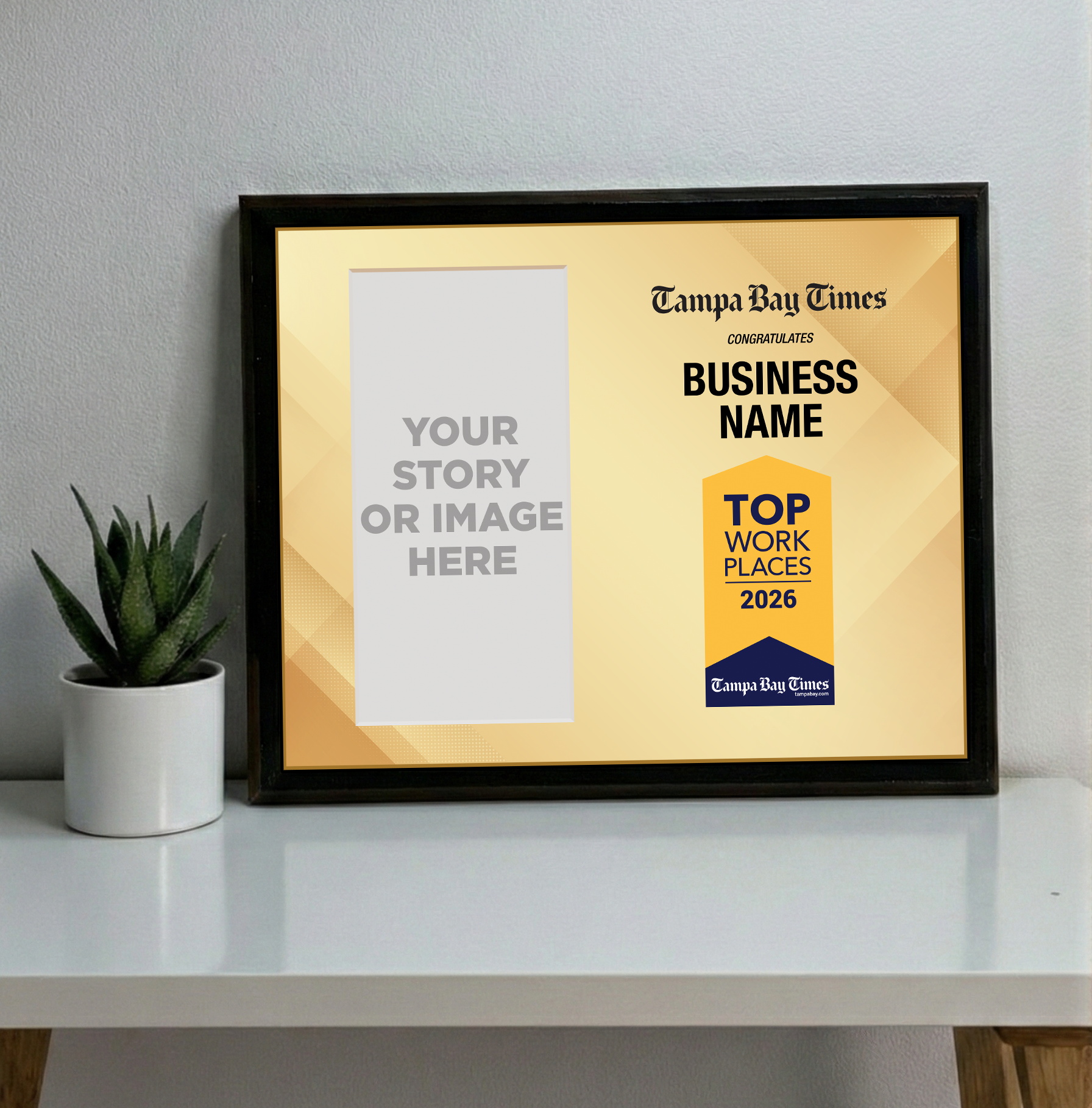 Tampa Bay Times Top Workplaces Award - Classic Plaque