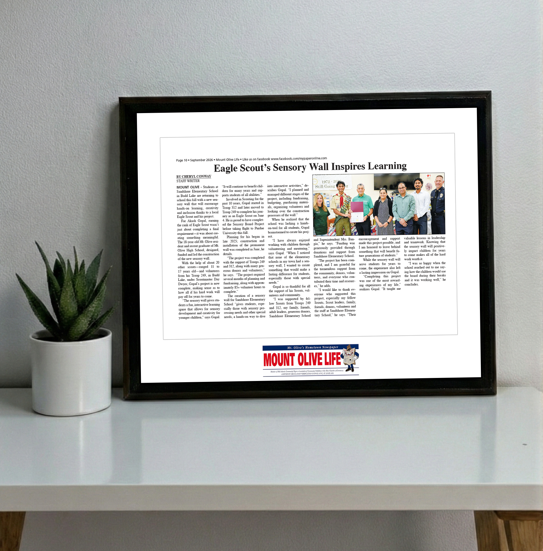 My Life Publications - Articles - Classic Plaque