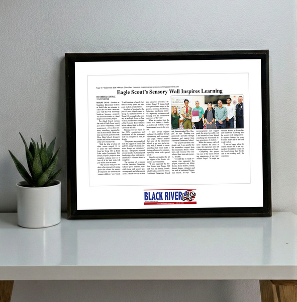 My Life Publications - Articles - Classic Plaque