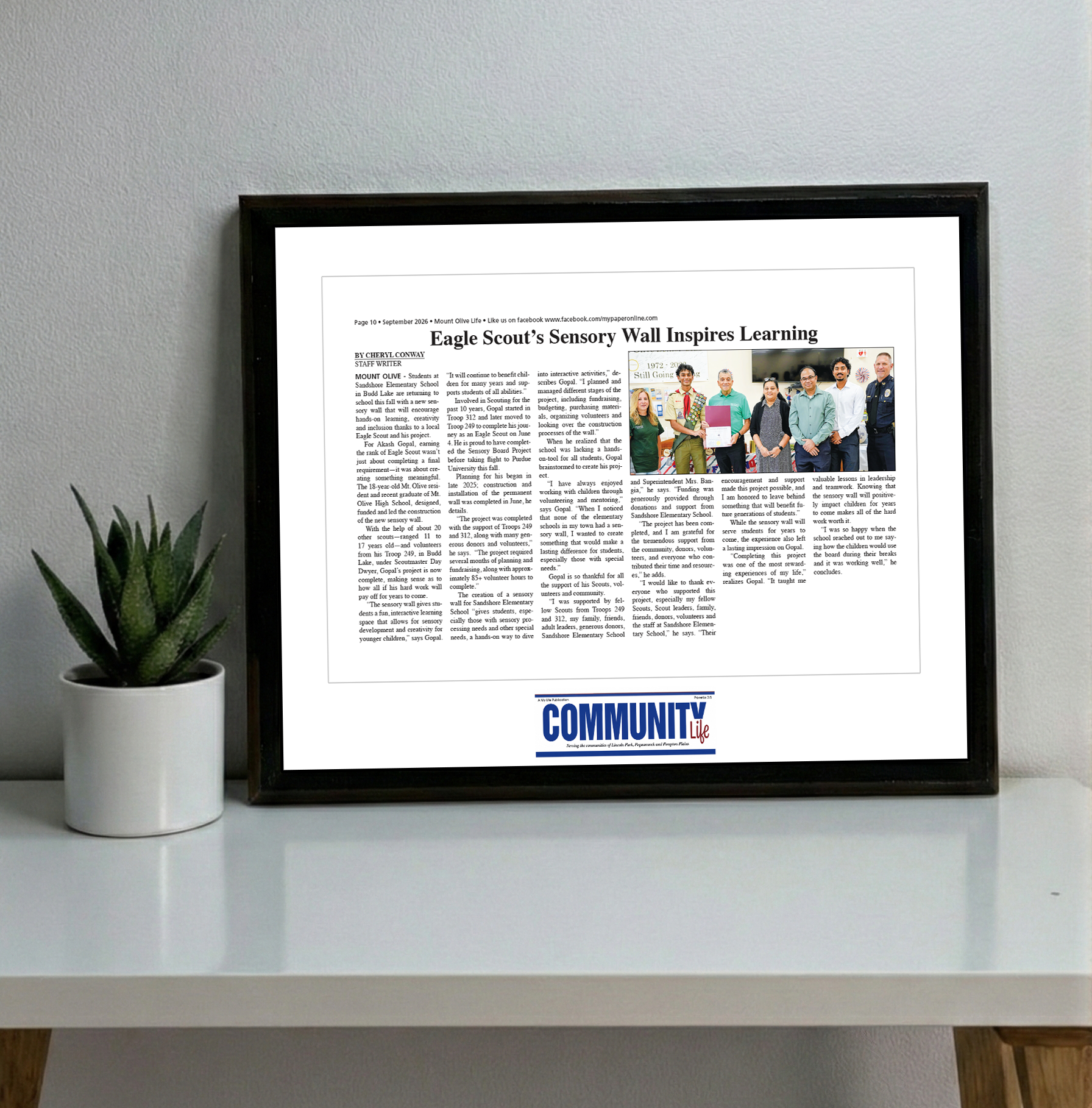 My Life Publications - Articles - Classic Plaque