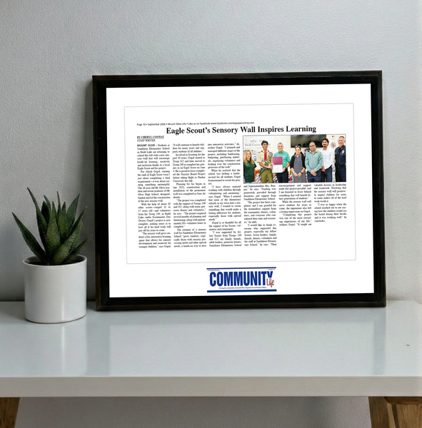 My Life Publications - Articles - Classic Plaque