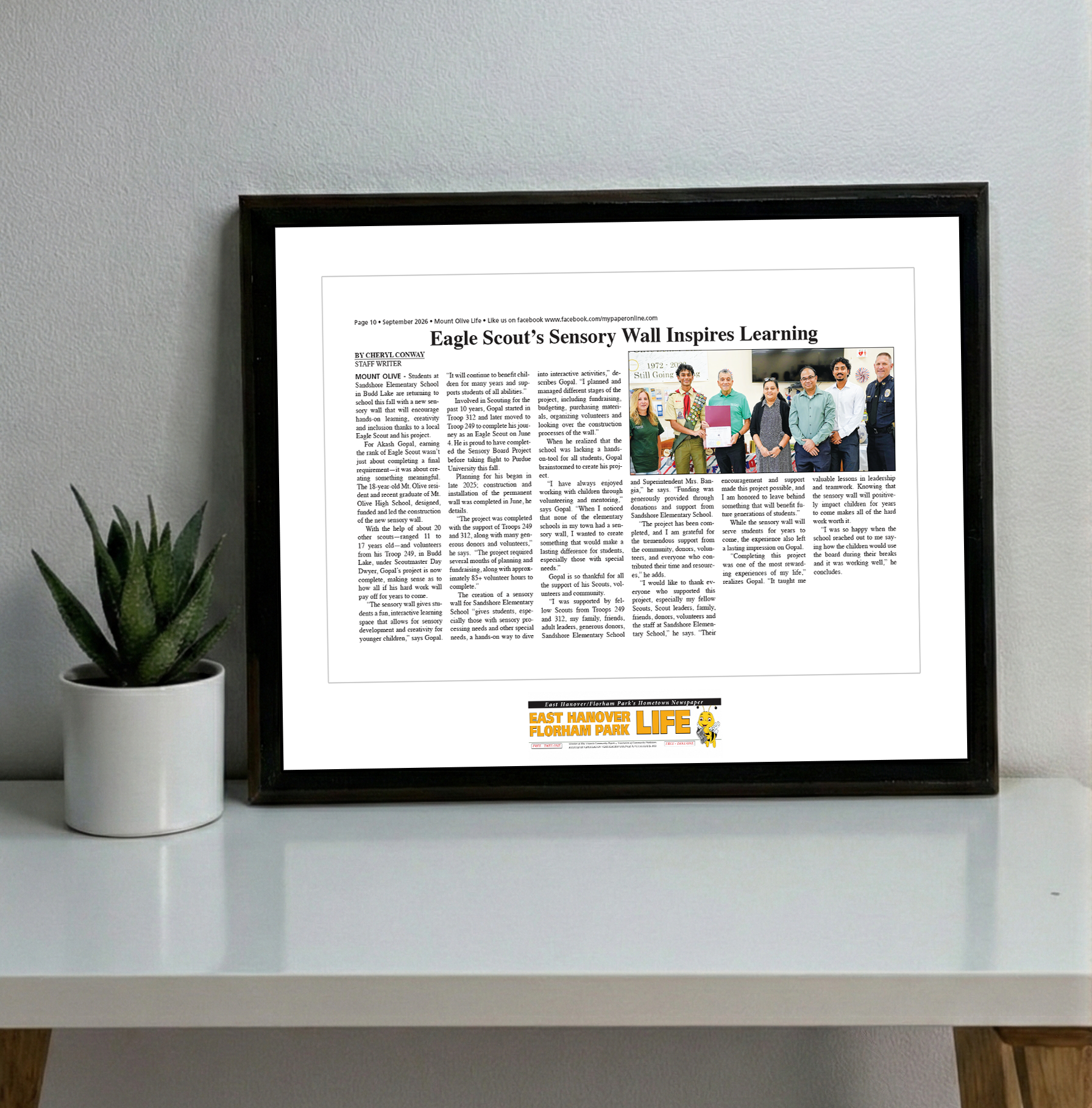 My Life Publications - Articles - Classic Plaque