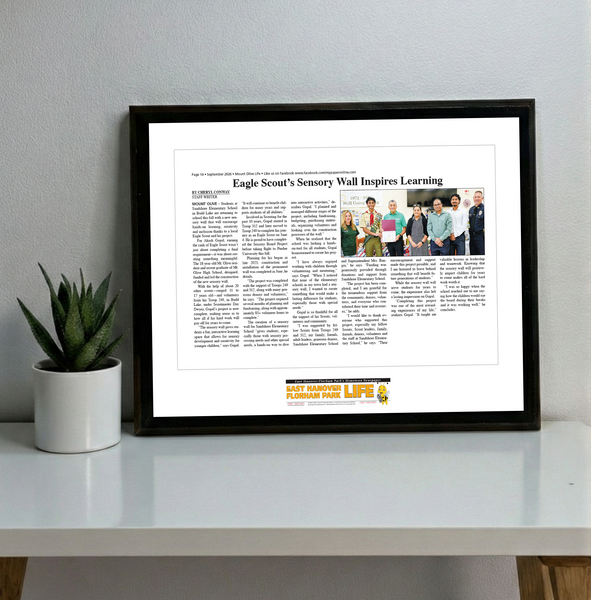 My Life Publications - Articles - Classic Plaque