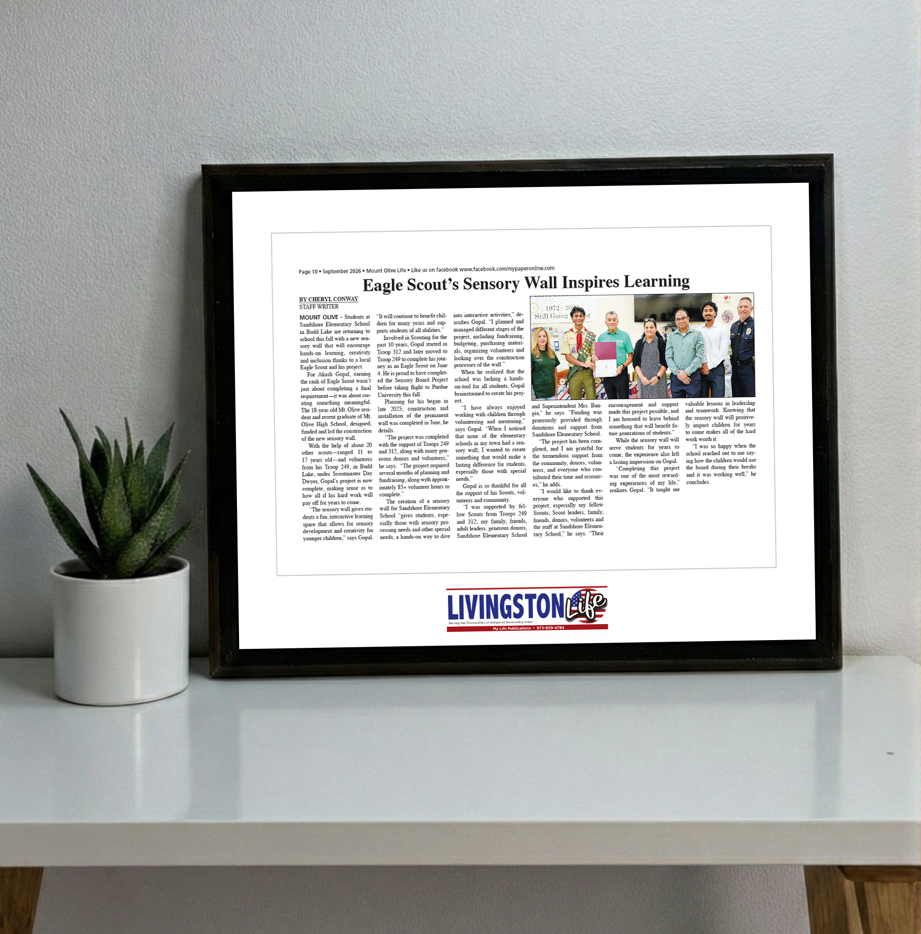 My Life Publications - Articles - Classic Plaque