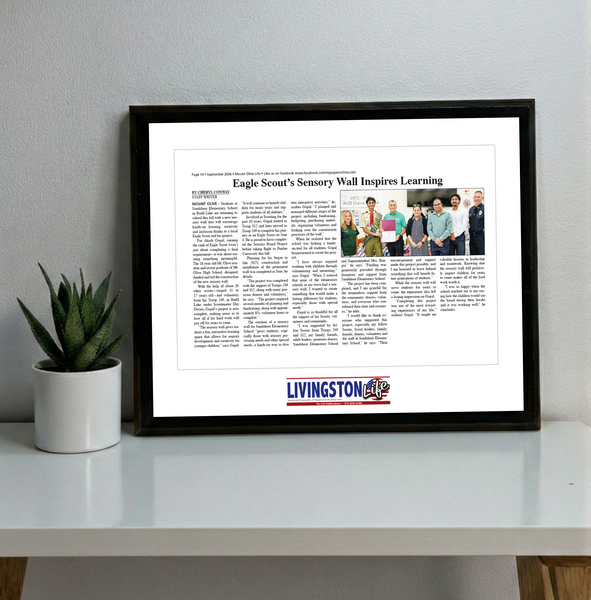 My Life Publications - Articles - Classic Plaque