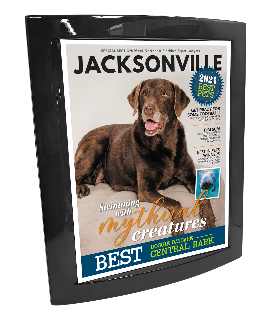 Jacksonville Magazine - Best in Pets - Eclipse Plaque with Metal Inlay