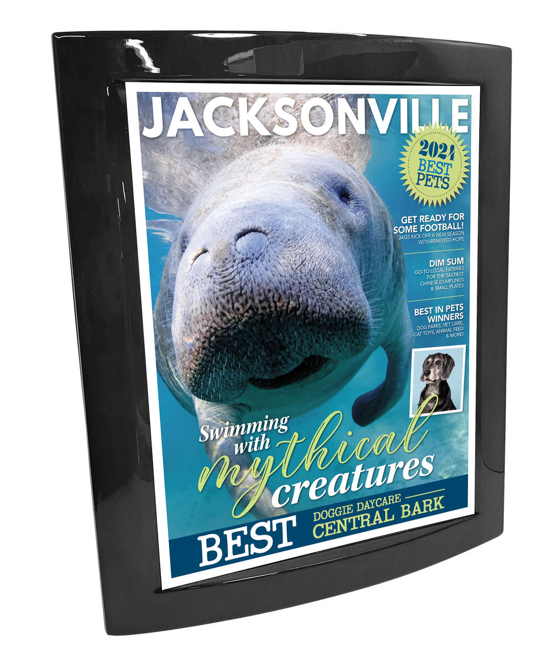 Jacksonville Magazine - Best in Pets - Eclipse Plaque with Metal Inlay