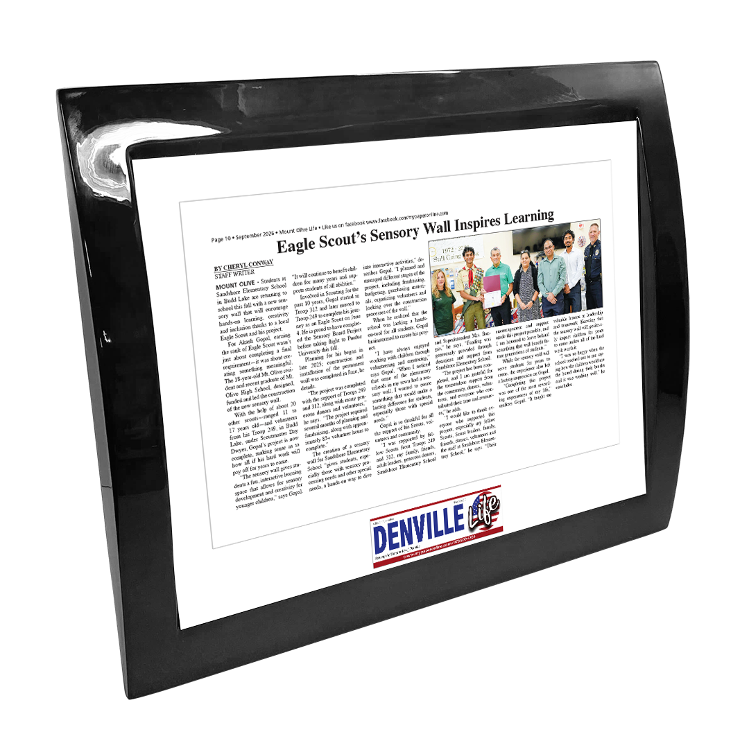 My Life Publications - Articles - Eclipse Plaque with Metal Inlay
