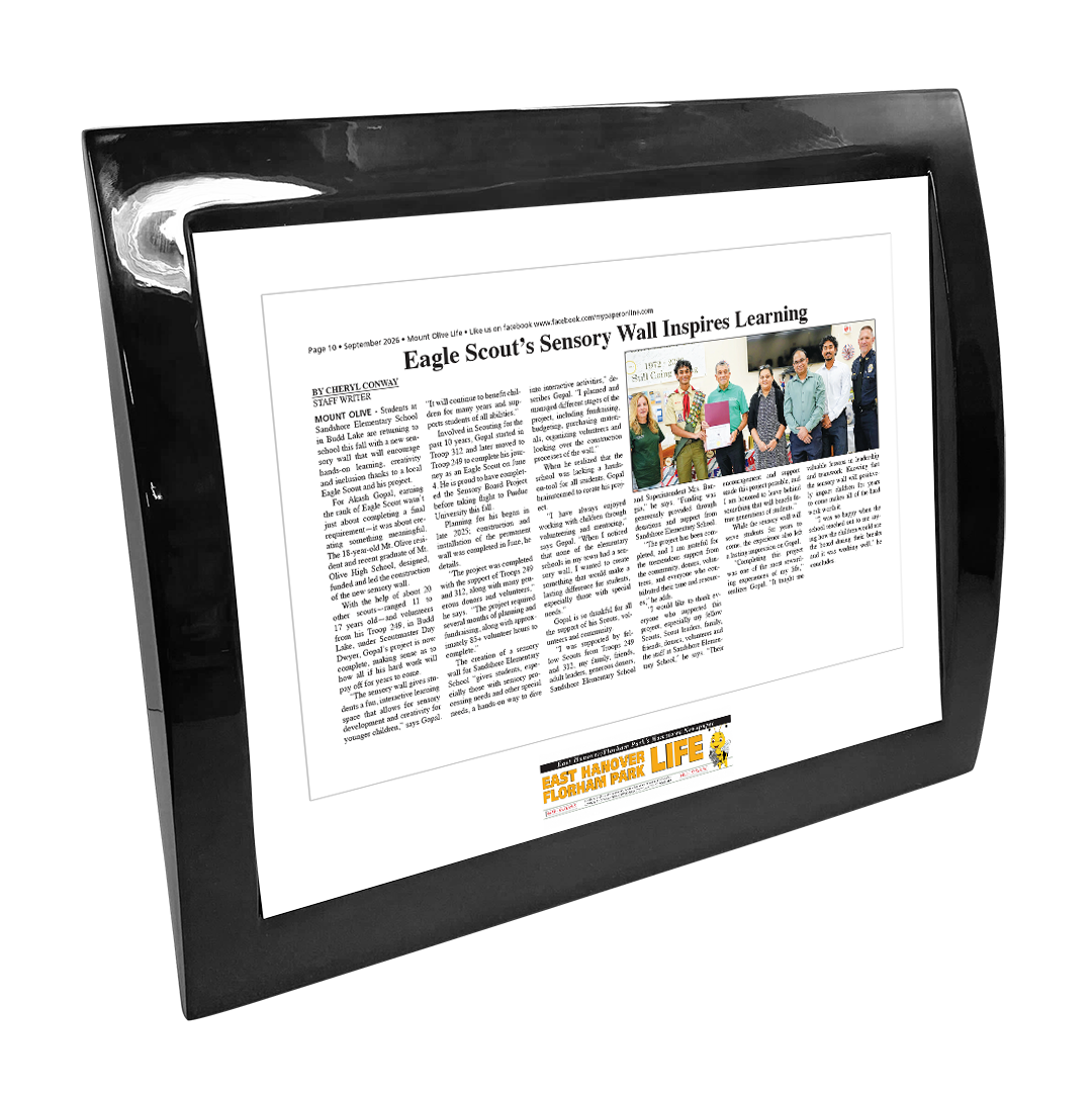 My Life Publications - Articles - Eclipse Plaque with Metal Inlay