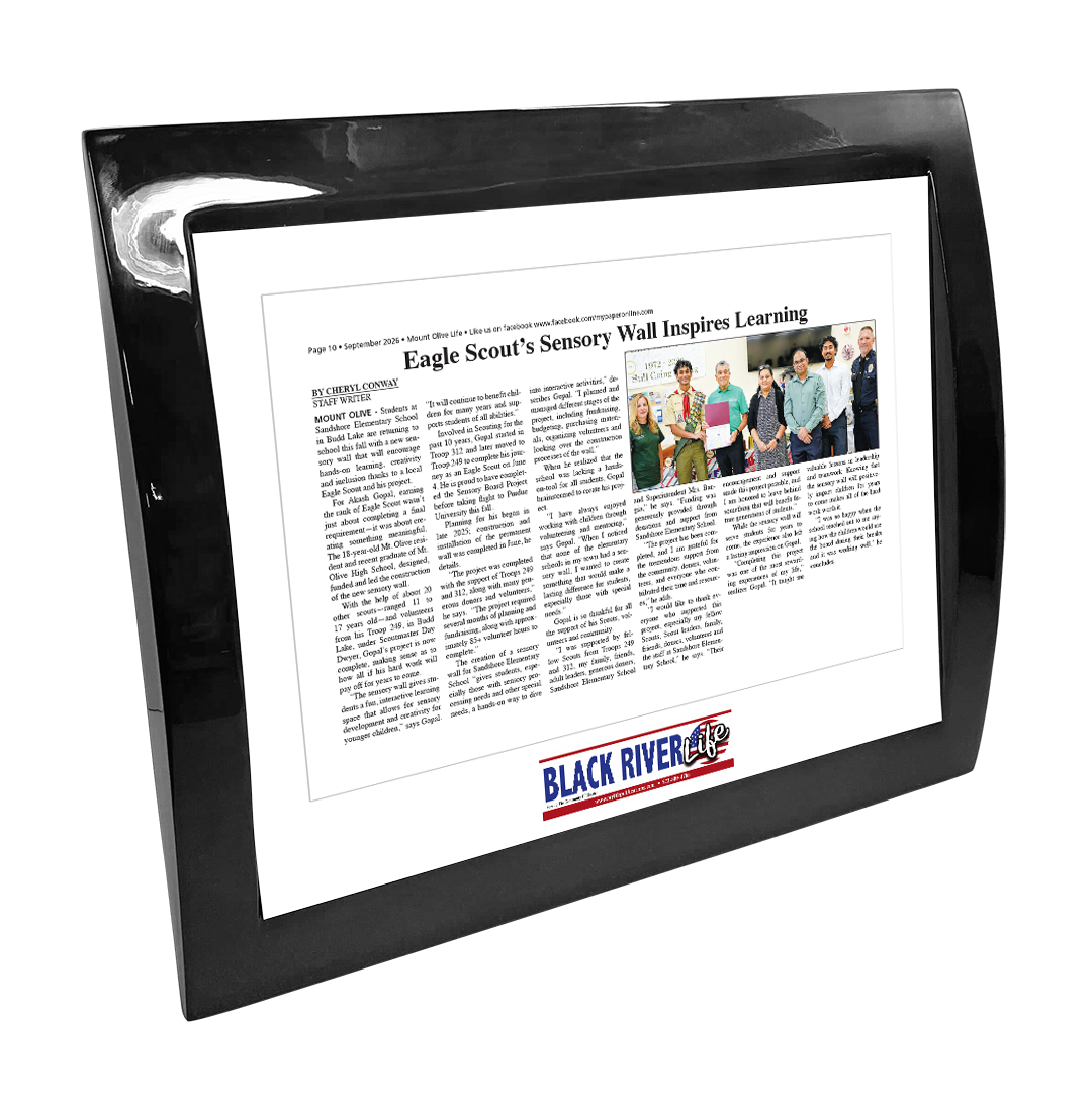 My Life Publications - Articles - Eclipse Plaque with Metal Inlay