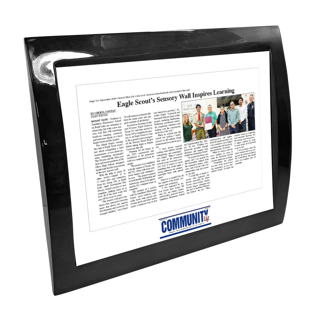 My Life Publications - Articles - Eclipse Plaque with Metal Inlay