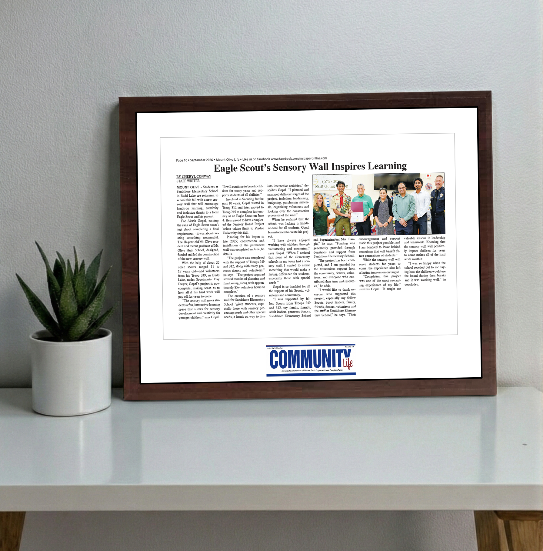 My Life Publications - Articles - Classic Plaque