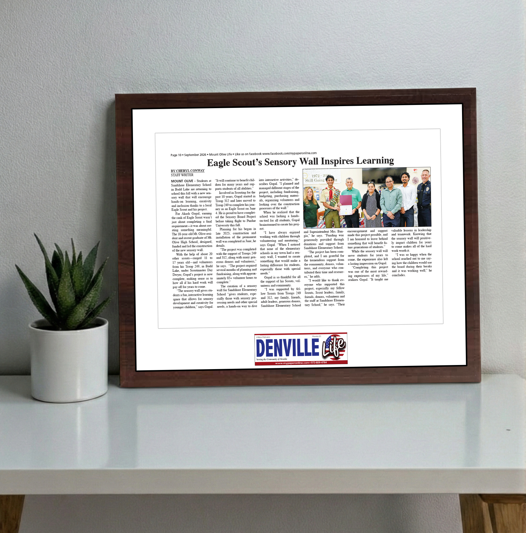 My Life Publications - Articles - Classic Plaque