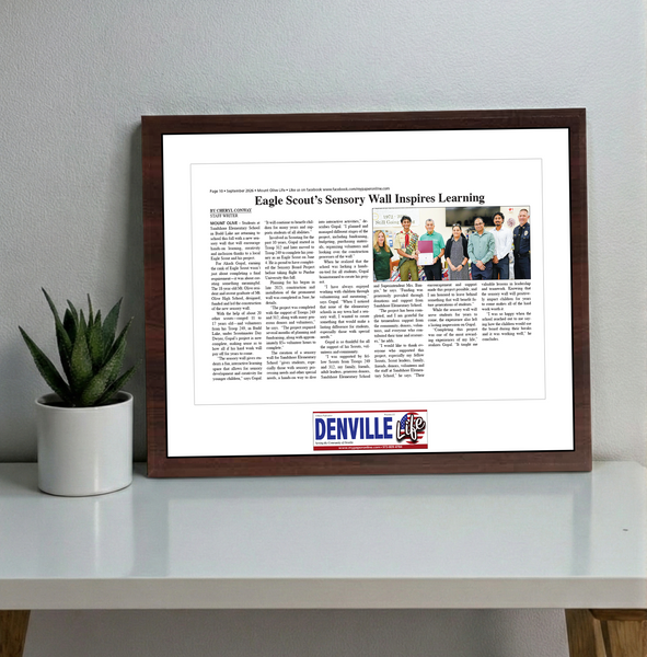My Life Publications - Articles - Classic Plaque
