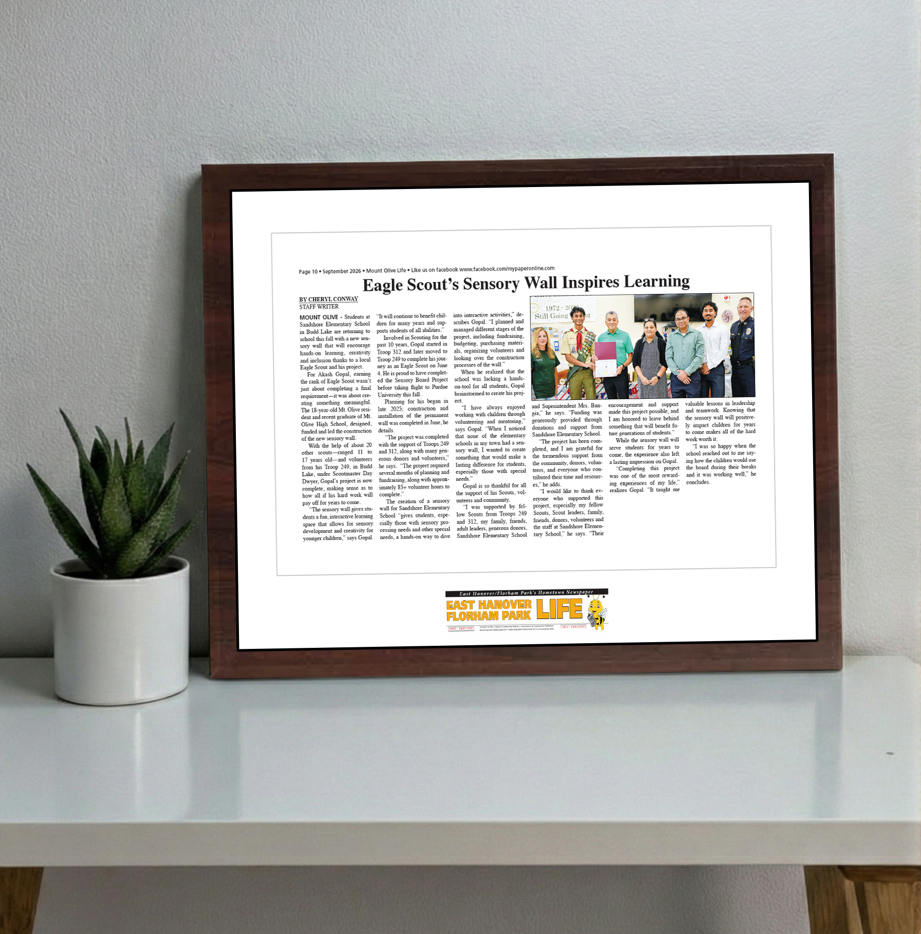 My Life Publications - Articles - Classic Plaque