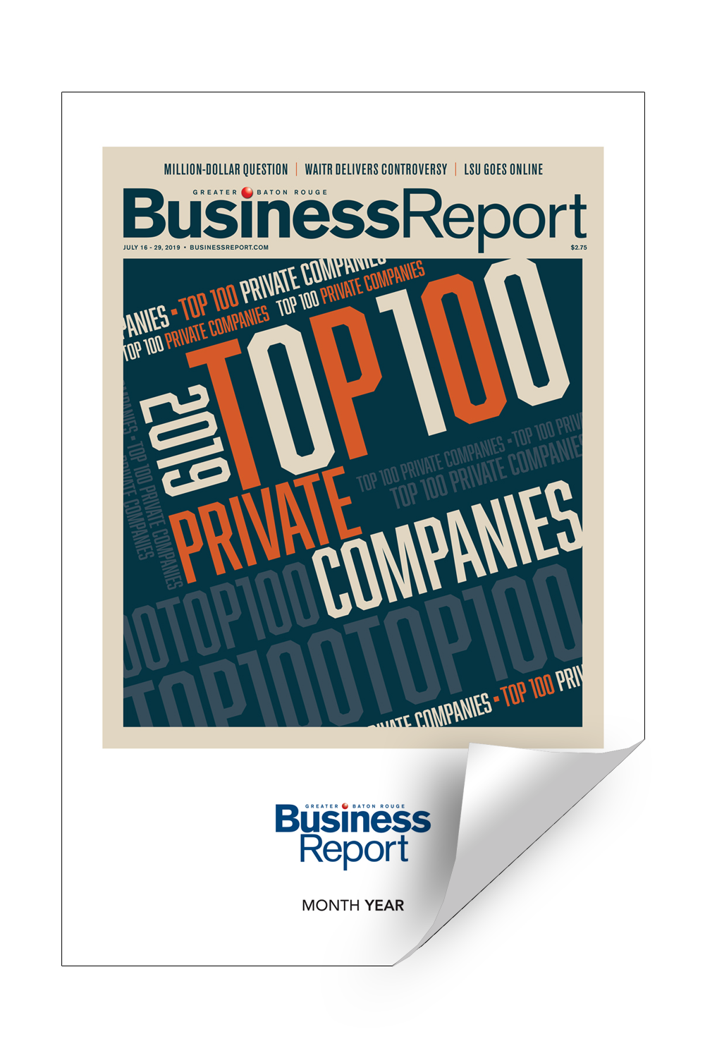Business Report Article & Cover Digital PDFs