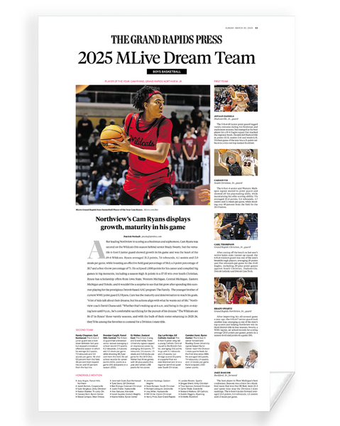 Dream Team - Reprint/Poster