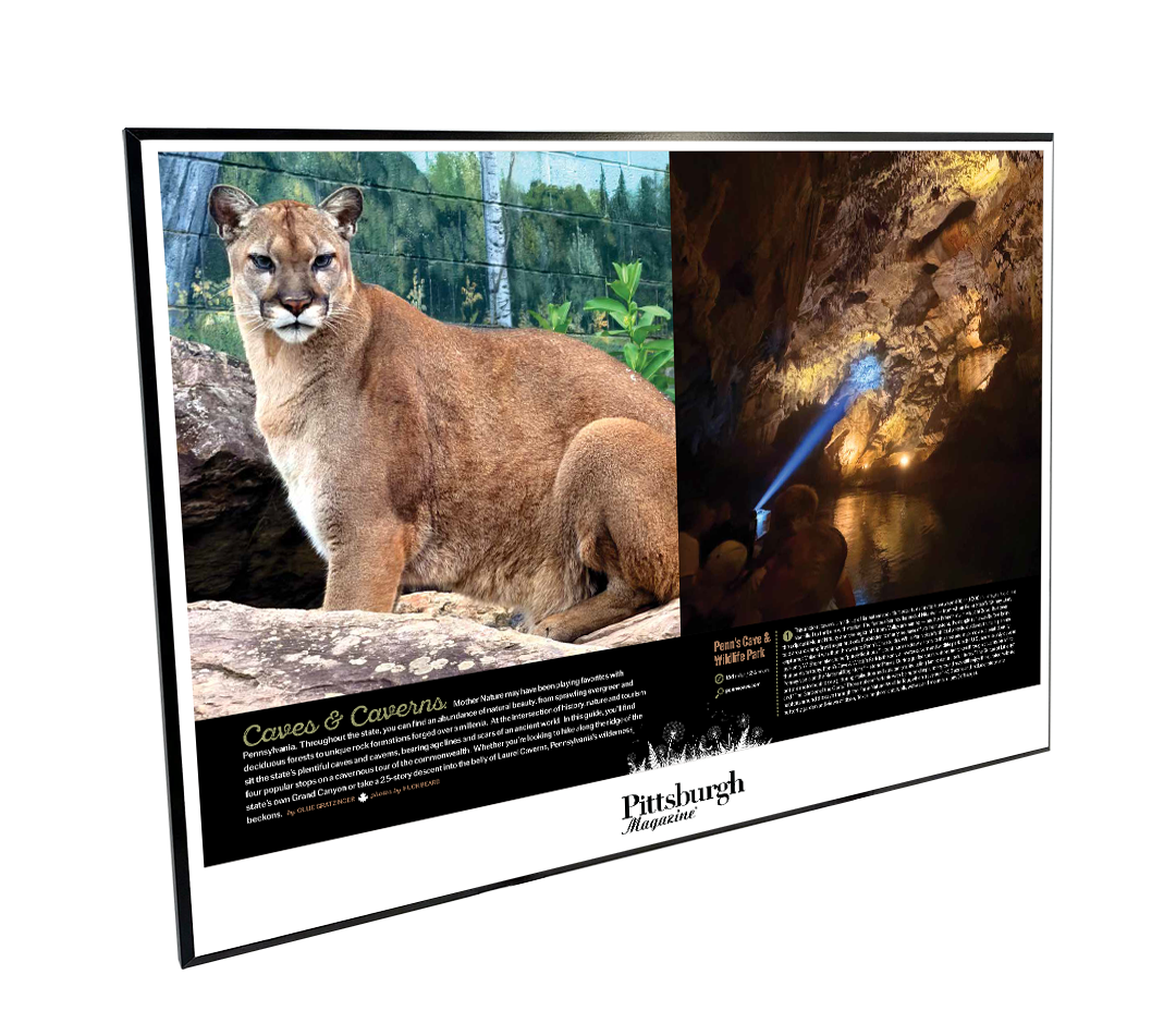 Pittsburgh Magazine - Special Publications - Modern Wooden Plaque