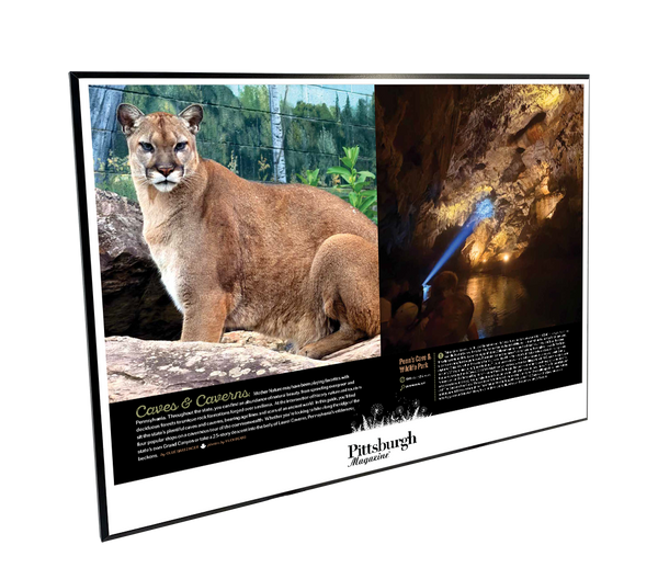 Pittsburgh Magazine - Special Publications - Modern Wooden Plaque