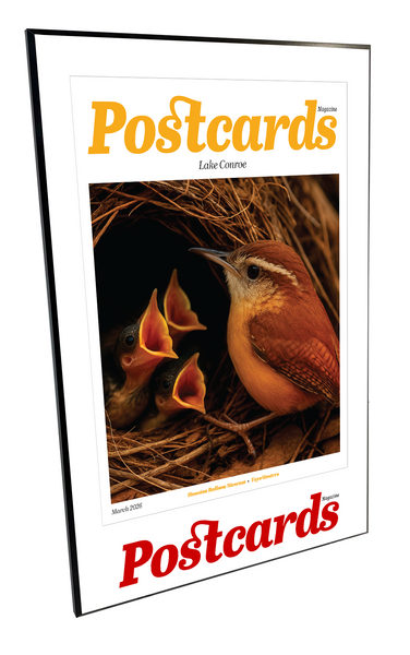 Postcards Magazine - Article & Cover Plaques