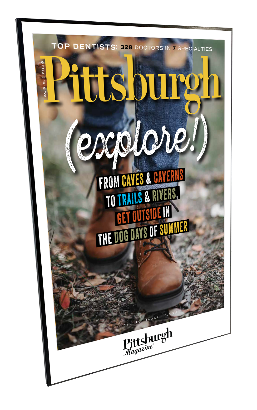 Pittsburgh Magazine - Articles & Covers - Modern Wooden Plaque
