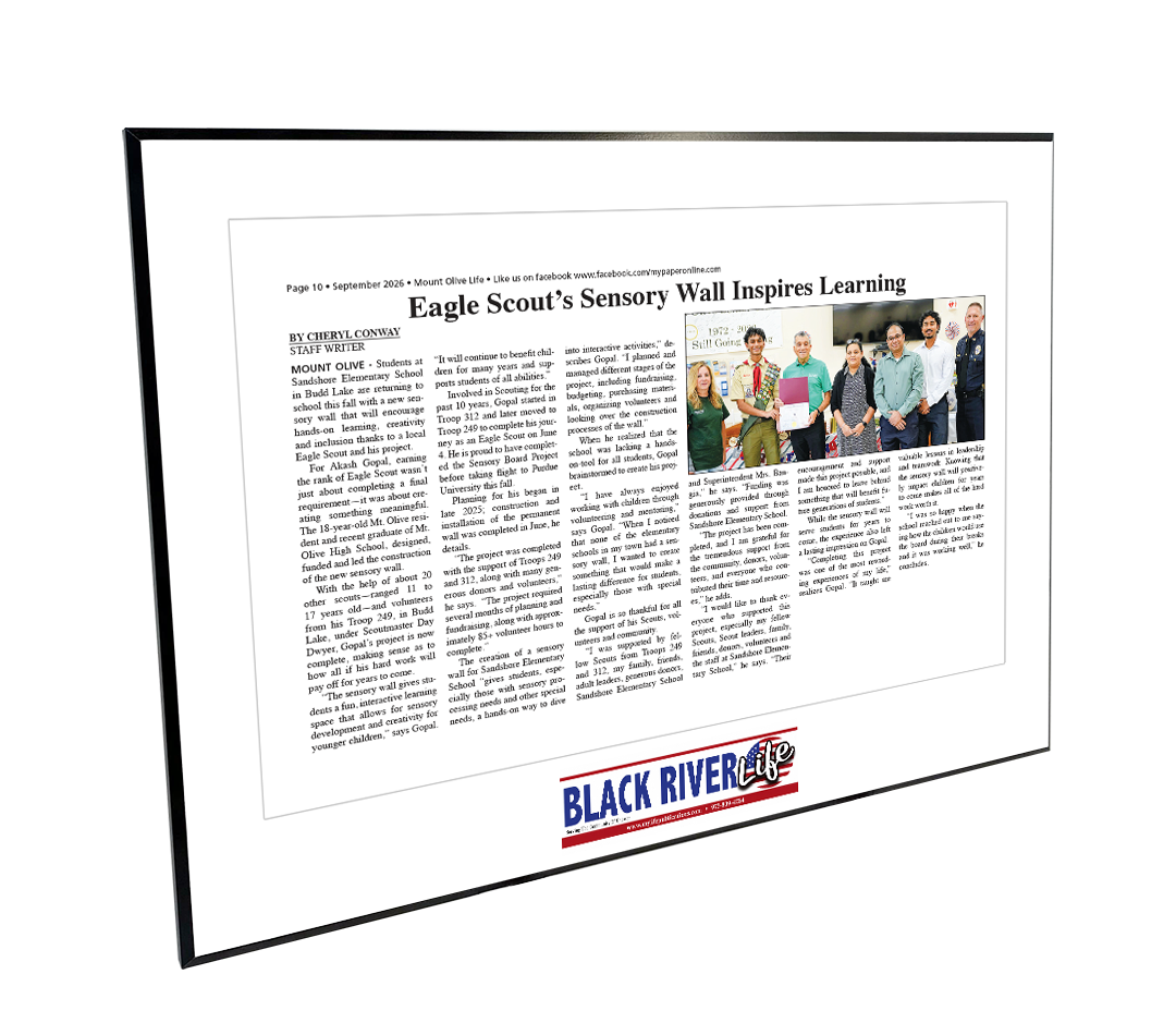 My Life Publications - Articles - Modern Hardi-plaque