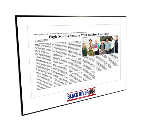 My Life Publications - Articles - Modern Hardi-plaque