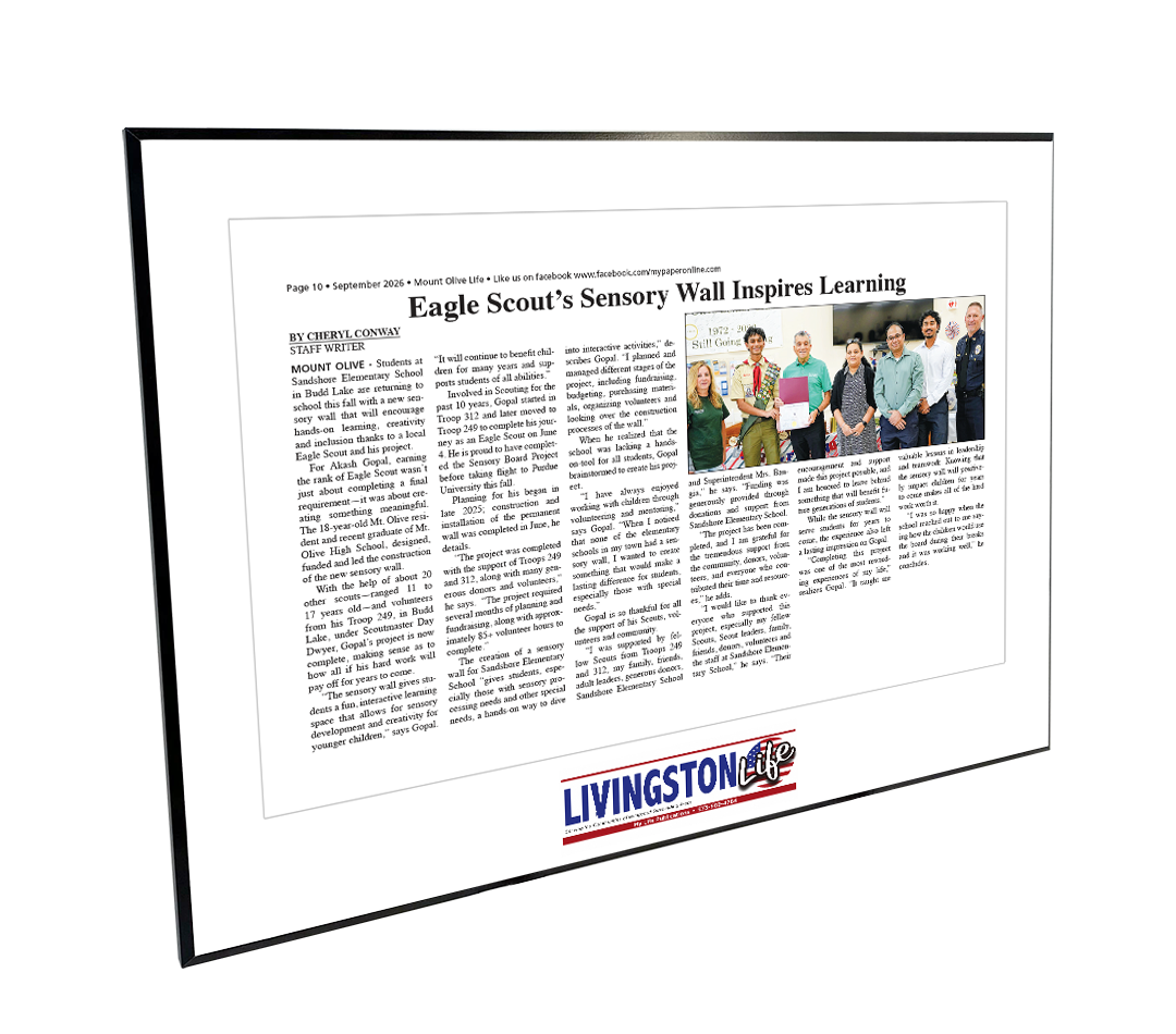 My Life Publications - Articles - Modern Hardi-plaque