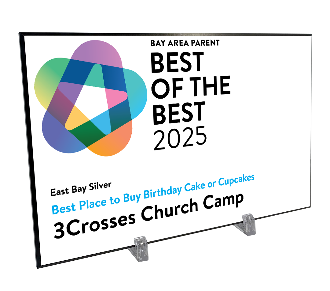 Best of Bay Area Parent Award Plaque