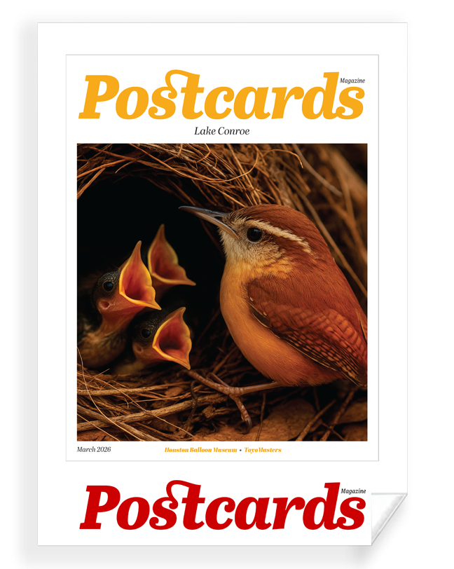 Postcards Magazine - Article & Cover Archival Reprints