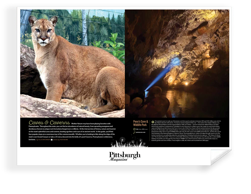Pittsburgh Magazine - Special Publications - Frameable Archival Print