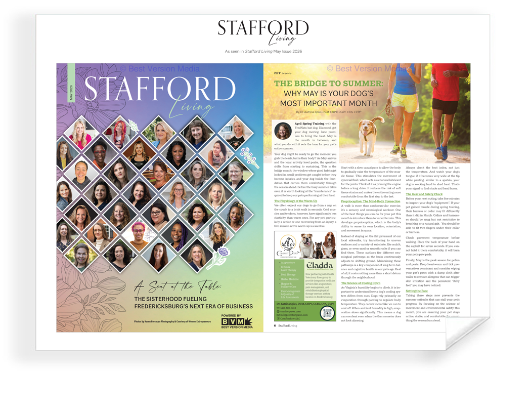 Stafford Living - Covers & Articles - Archival Reprint