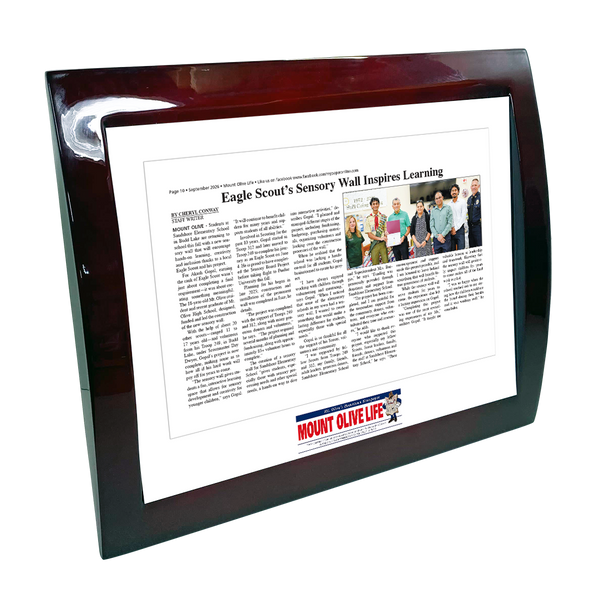 My Life Publications - Articles - Eclipse Plaque with Metal Inlay