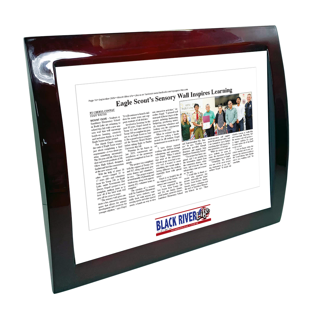 My Life Publications - Articles - Eclipse Plaque with Metal Inlay