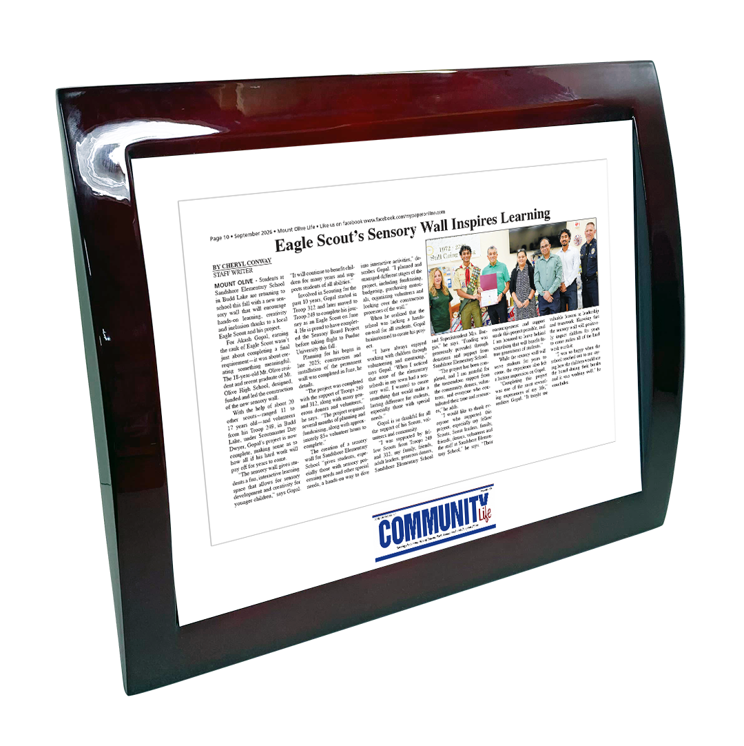 My Life Publications - Articles - Eclipse Plaque with Metal Inlay