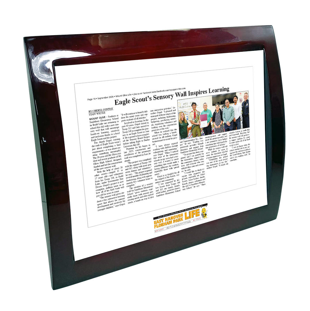 My Life Publications - Articles - Eclipse Plaque with Metal Inlay