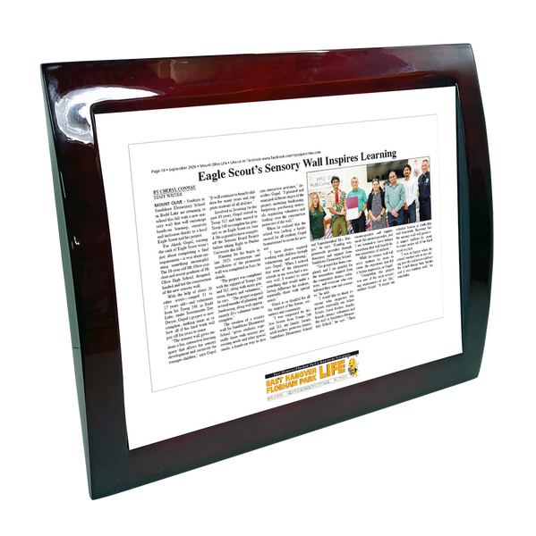 My Life Publications - Articles - Eclipse Plaque with Metal Inlay