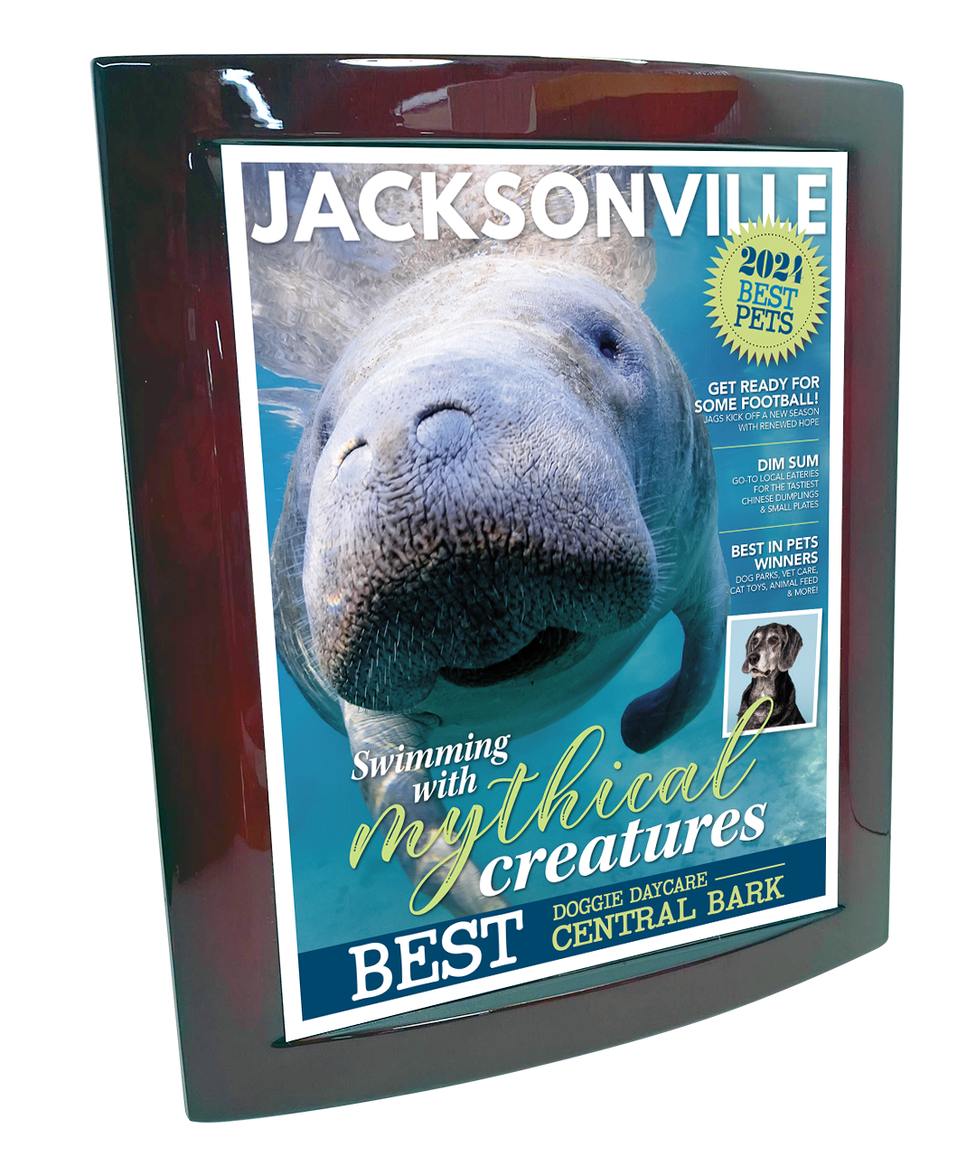 Jacksonville Magazine - Best in Pets - Eclipse Plaque with Metal Inlay