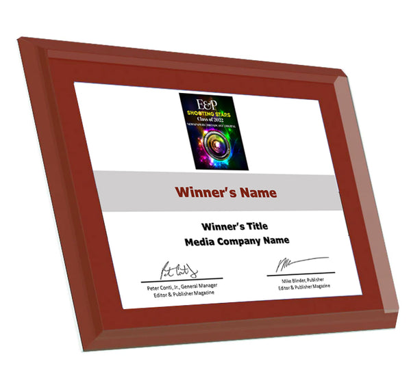 Editor and Publisher Award Plaque | Crystal
